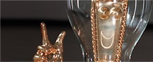 auszeichnung-goldene-gluehbirne